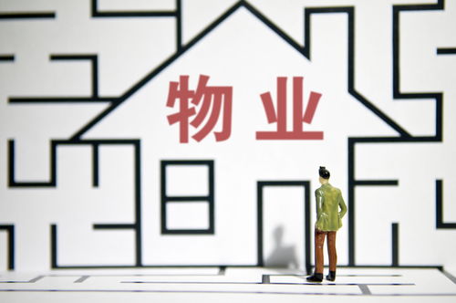 物管行業(yè)去年并購(gòu)交易77宗, 大魚(yú)吃大魚(yú) 現(xiàn)象或?qū)⒊掷m(xù)