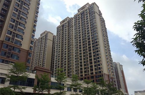 肇慶市僑興物業(yè)攜手極致科技,共建多元化智慧物業(yè)管理平臺