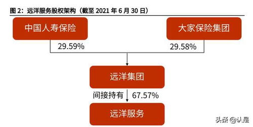 遠(yuǎn)洋服務(wù)研究報(bào)告 品質(zhì)立身,中高端服務(wù)優(yōu)勢凸顯