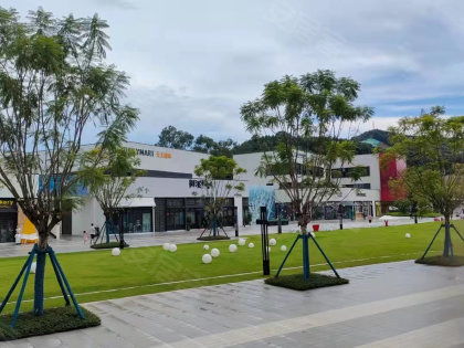 省紡織廠宿舍居住體驗(yàn)全解析 優(yōu)勢、不足、物管與周邊中介評(píng)價(jià)